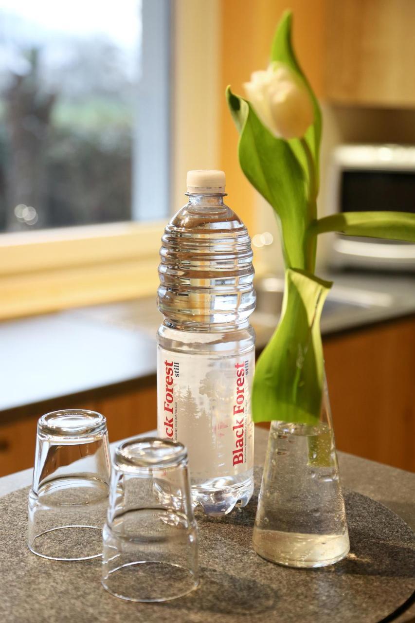 Ferienwohnung Am Rain Winden im Elztal Bagian luar foto
